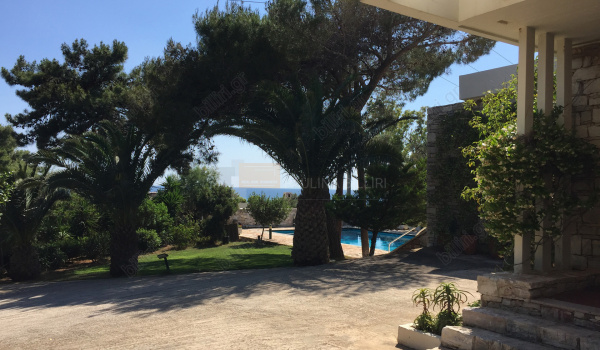 Εξωτερικός χώρος - outdoor space 